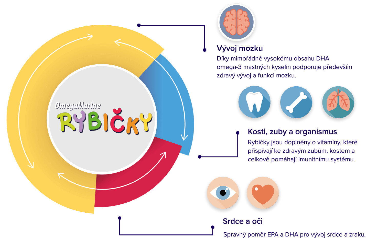 Graf znázorňující benefity užívaní OmegaMarine rybiček, efekty například jako Vývoj mozku, nebo celkové zlepšení imunitního systému, také zlepšení vývoje očí a srdce